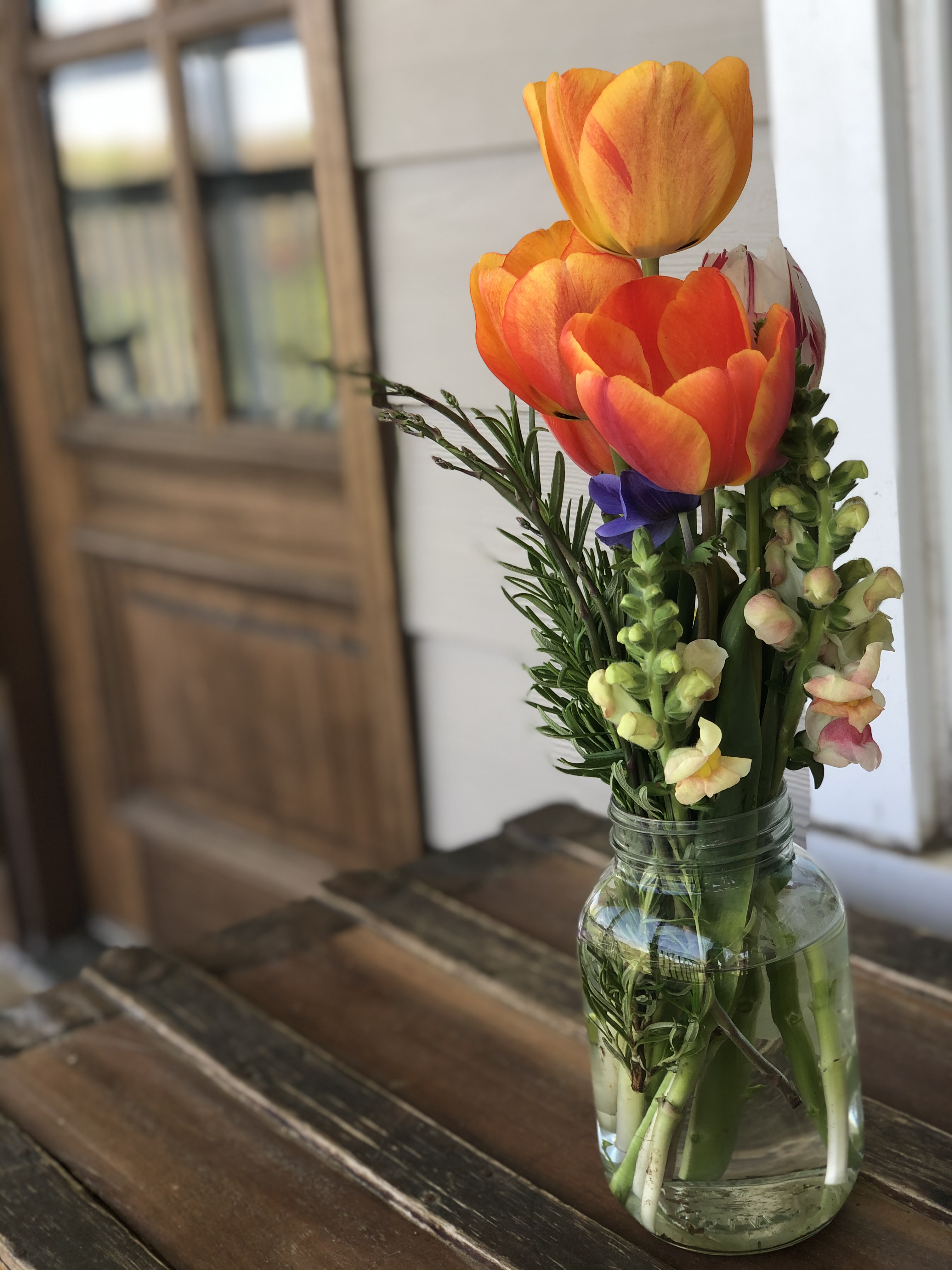 What is Occupational Therapy