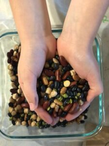 Mixed Dried Beans