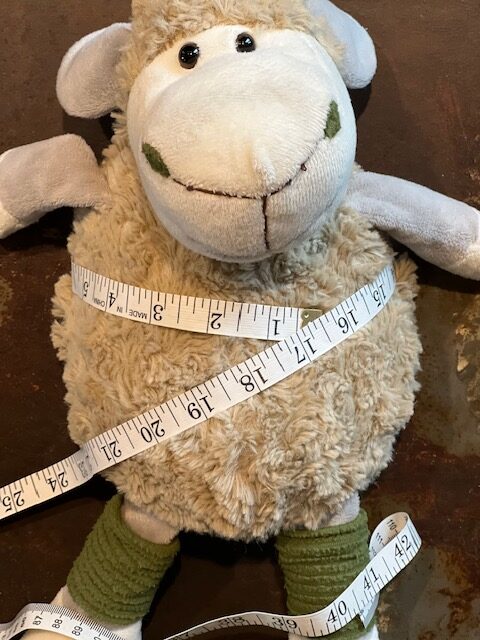 DIY Weighted Stuffed Animal