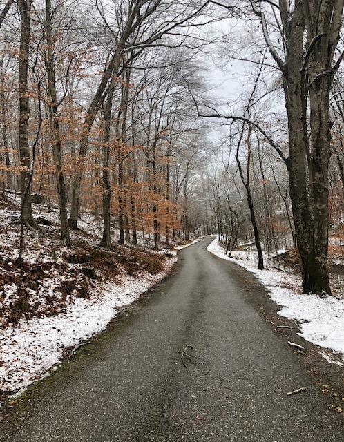 Sensory Tip: Take A Sensory Break