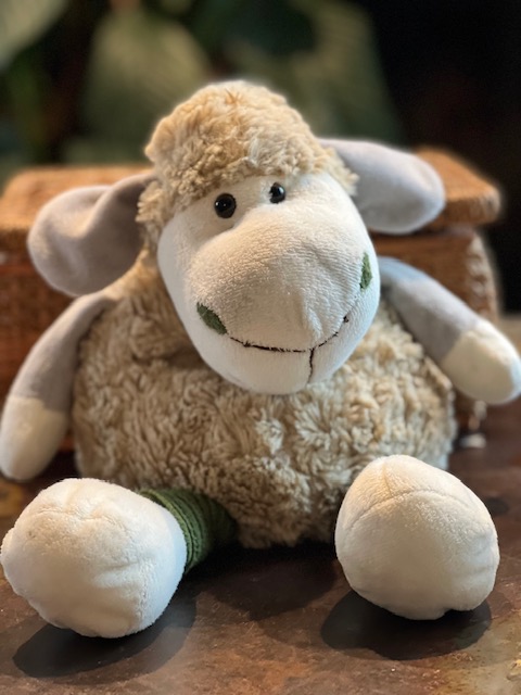 DIY Weighted Stuffed Animal