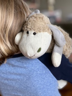 DIY Weighted Stuffed Animal