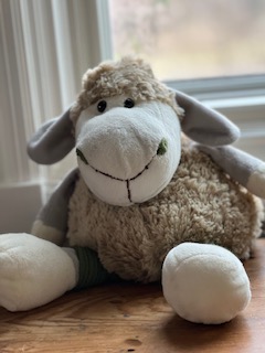 DIY Weighted Stuffed Animal