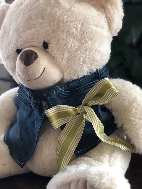 Fine Motor Dressing Vest