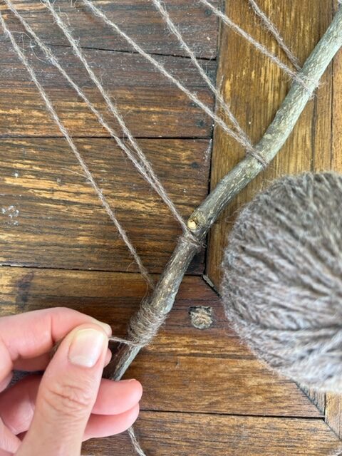 Fine Motor Branch Weaving