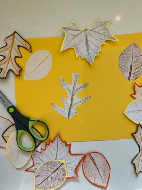 Activity branch leaves