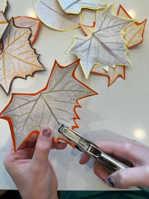 Activity branch- hole punch