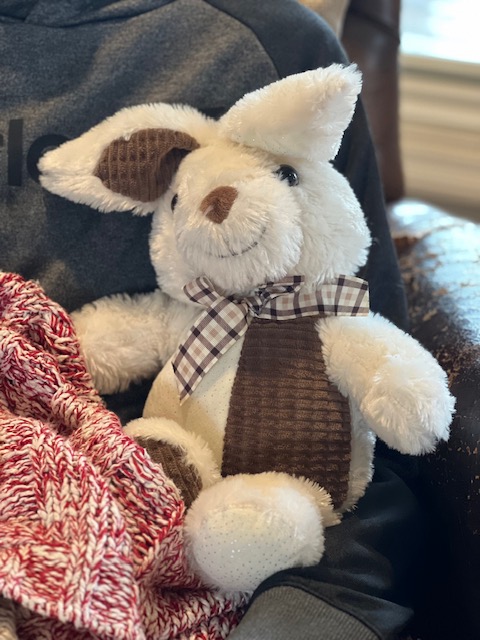 DIY Music Therapy Stuffed Animal