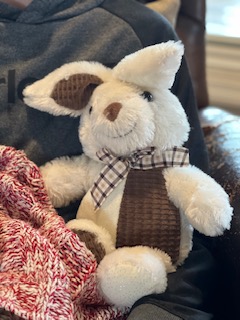 reminiscence music therapy stuffed animal for dementia care