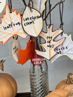 activity branch: a fine motor, gross motor, and heavy work activity