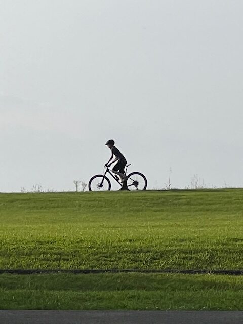 reciprocal bilateral coordination