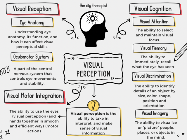 visual perception