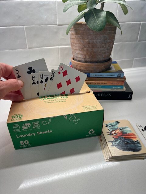 DIY adaptive game card holder