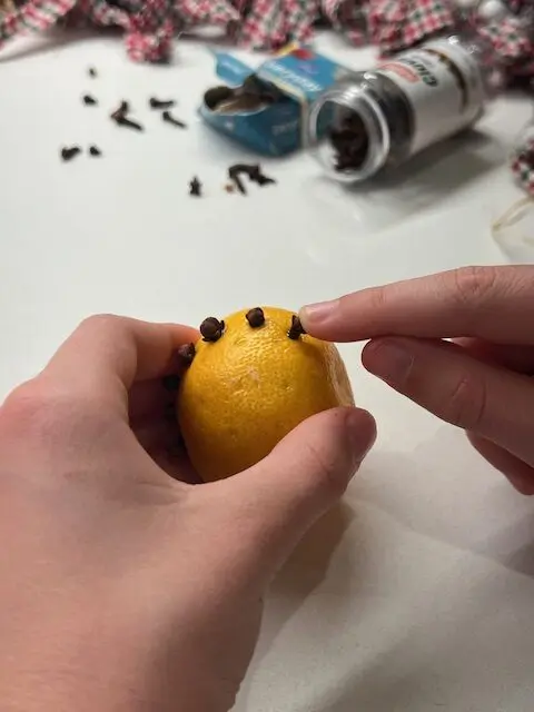 clove and orange pomander fine motor project.