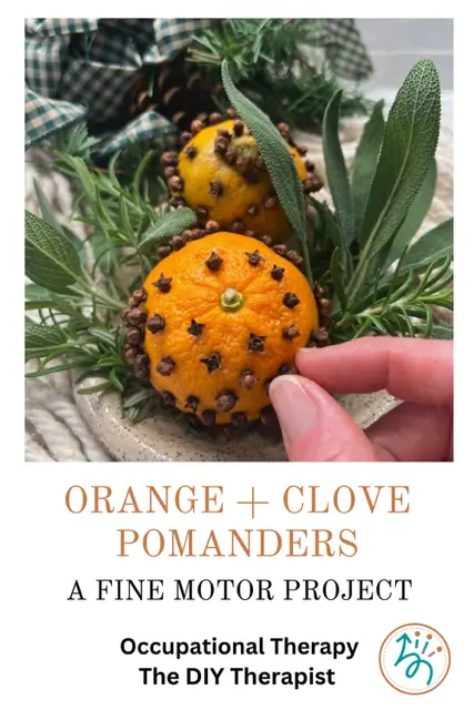orange and clove pomanders a fine motor project