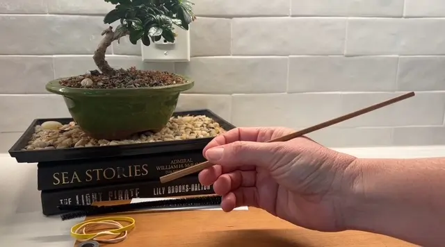 fine motor exercises chopsticks