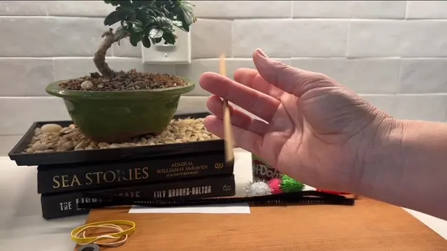 fine motor exercises using chopsticks